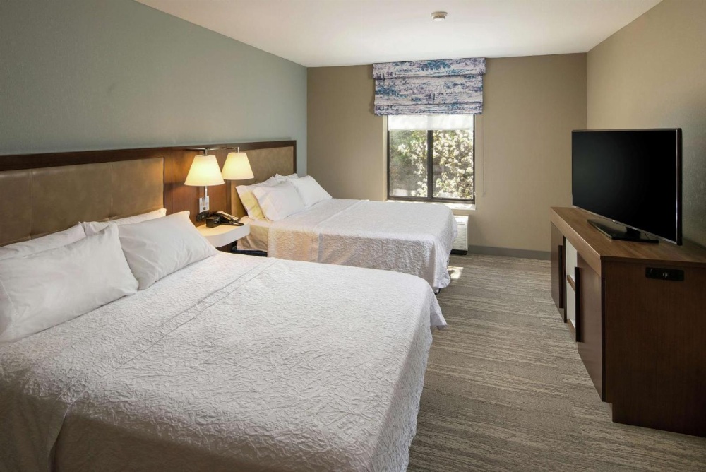 Hampton Inn By Hilton & Suites Binghamton/Vestal Main image