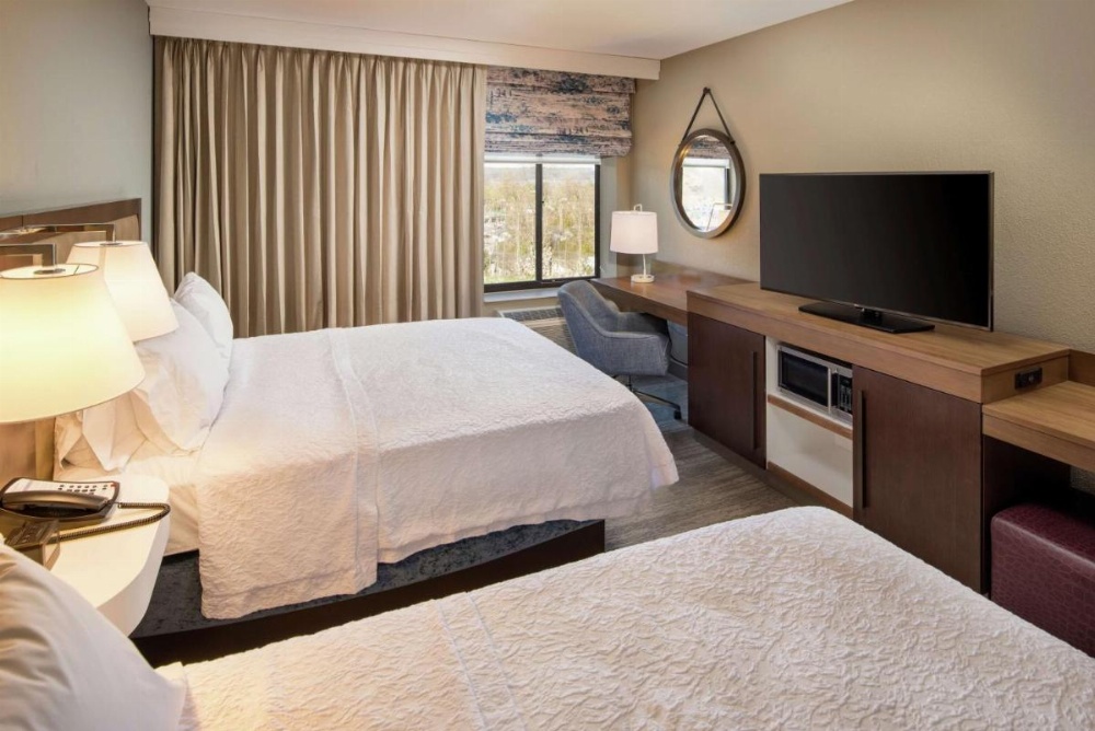 Hampton Inn By Hilton & Suites Binghamton/Vestal